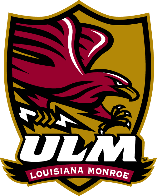 Louisiana-Monroe Warhawks 2006-Pres Alternate Logo t shirts DIY iron ons v3